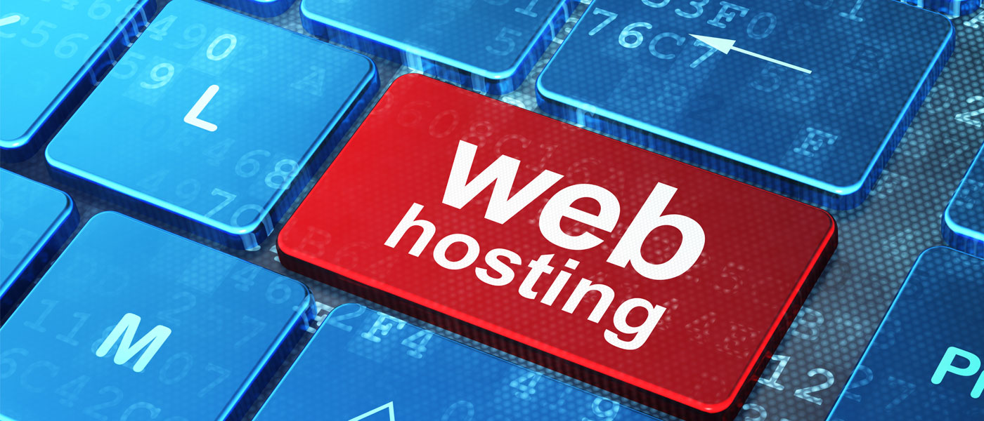 Caracteristici de baza ale web hosting-ului