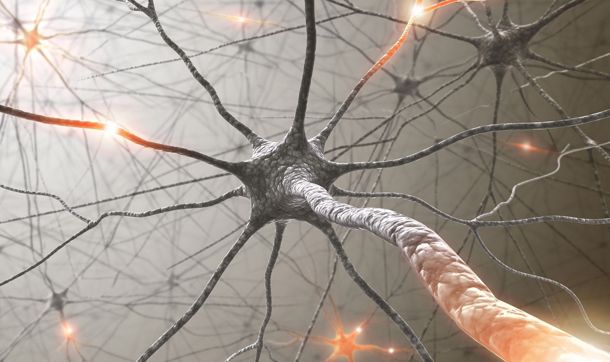 Neuronii – ce sunt si cum functioneaza