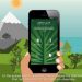 5 aplicatii pentru identificarea plantelor cu telefonul mobil