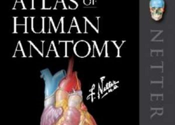 7 sfaturi pentru invatarea anatomiei