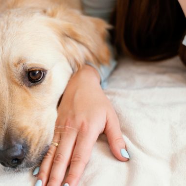 Cum apar problemele de piele la câini?