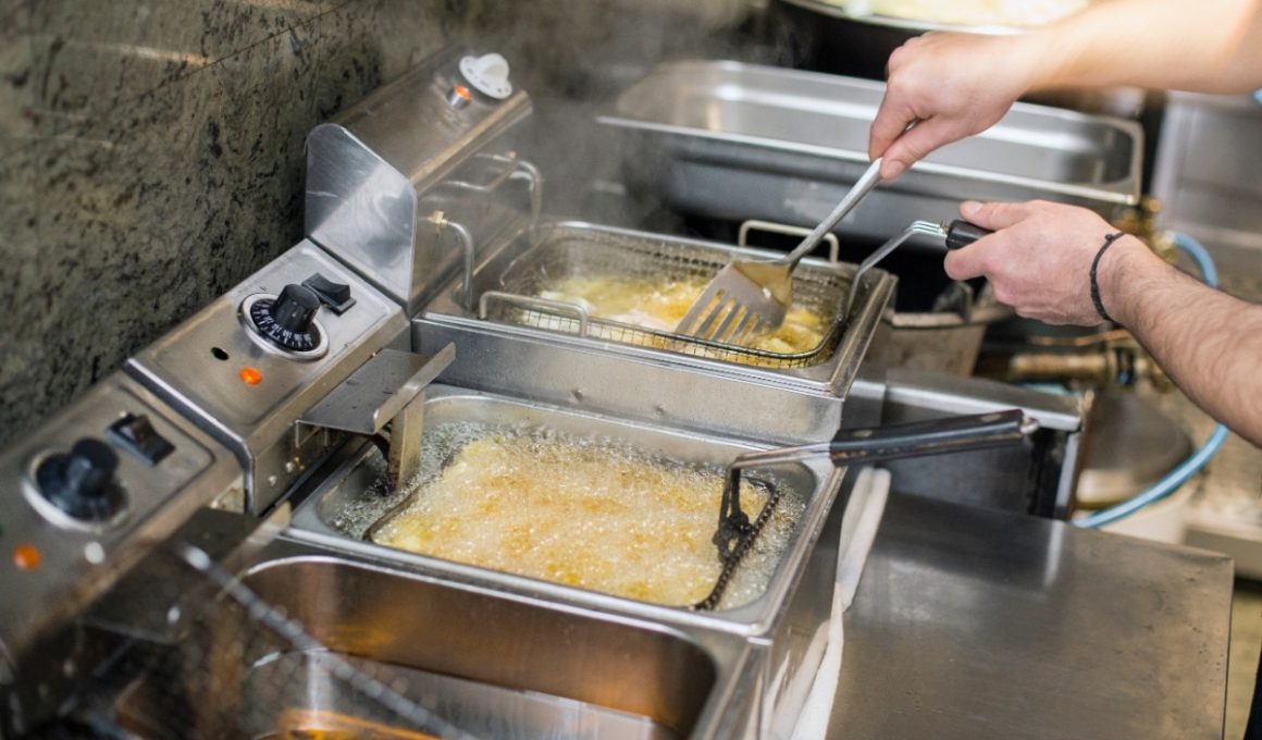 friteuza profesionala