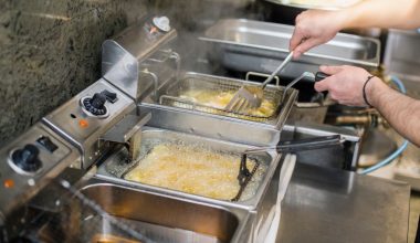 friteuza profesionala